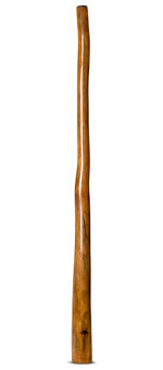 Tristan O'Meara Didgeridoo (TM319)